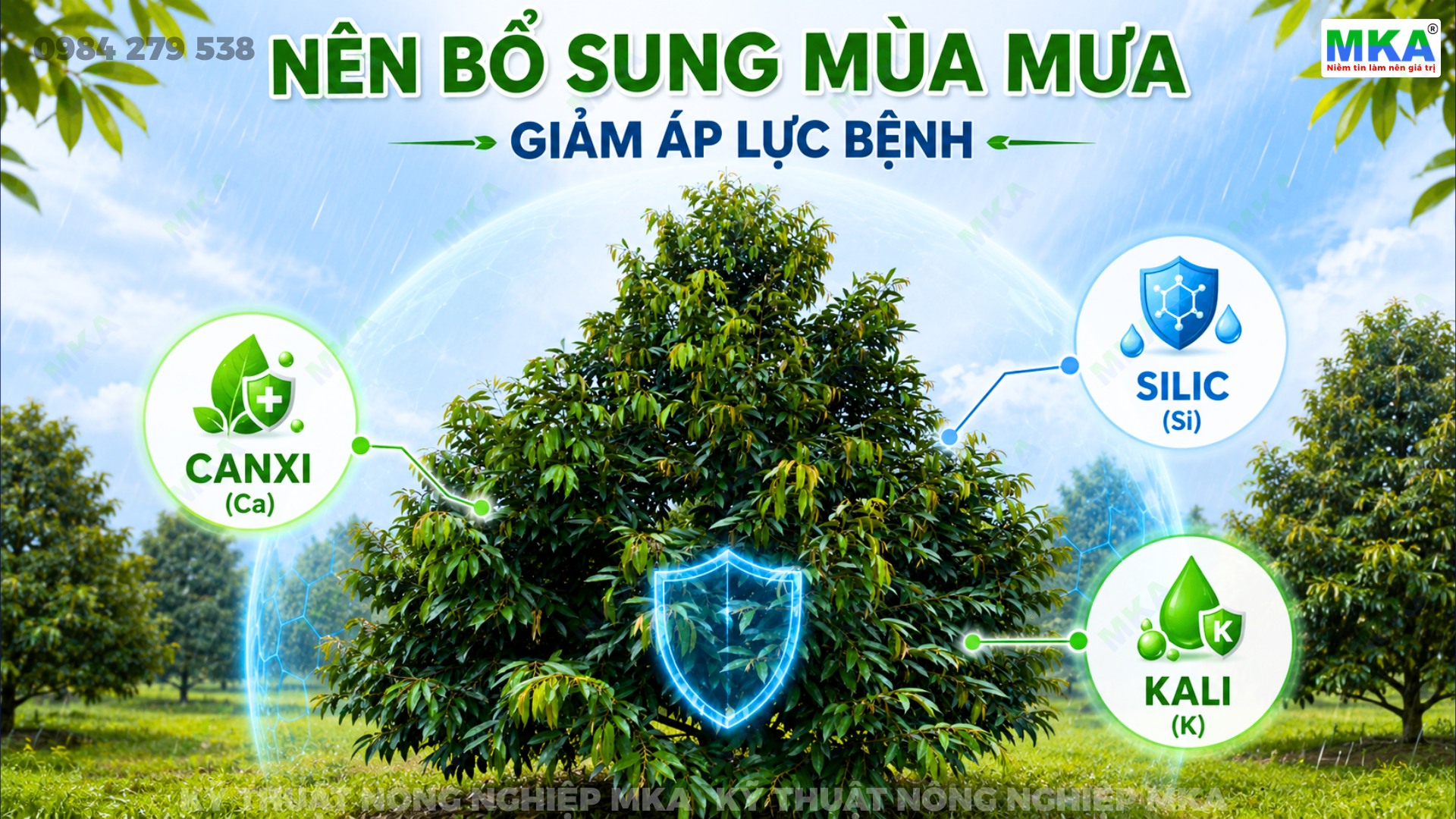 Nhóm dinh dưỡng giúp giảm áp lực bệnh nên bổ sung trong mùa mưa
